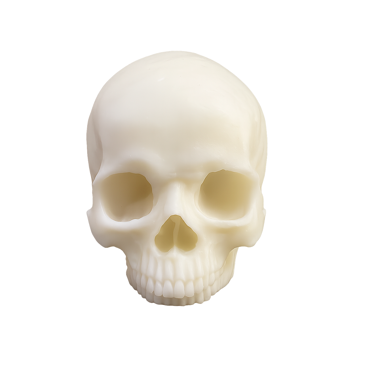 Calavera Siliconada Big