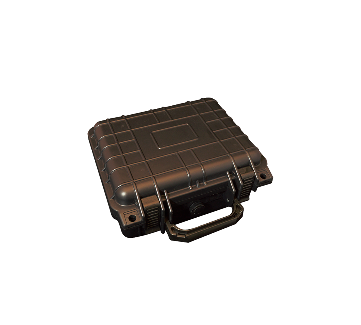 CasePigmentos.png