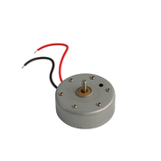 Motor Generico 24x9.2mm Axis 2mm