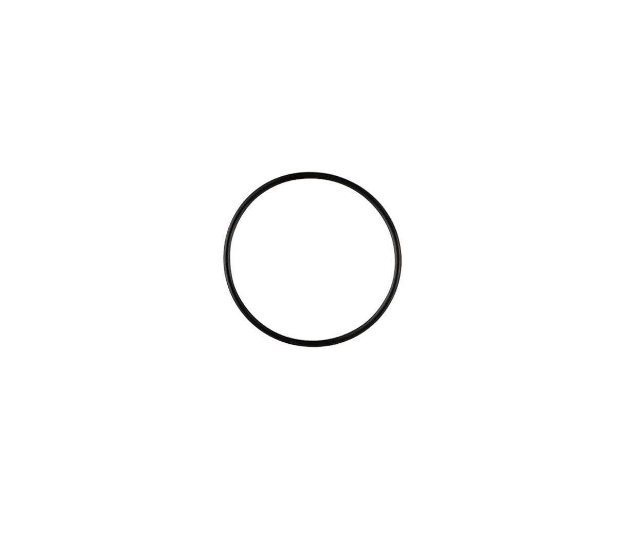 O-Ring-Cuerpo.png