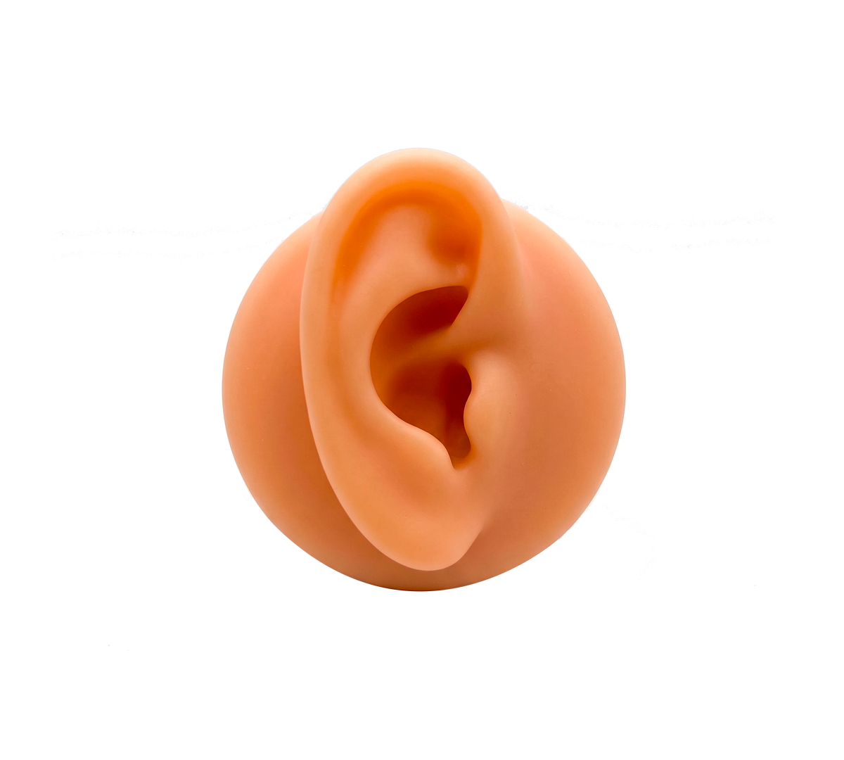 Oreja-Derecha.png