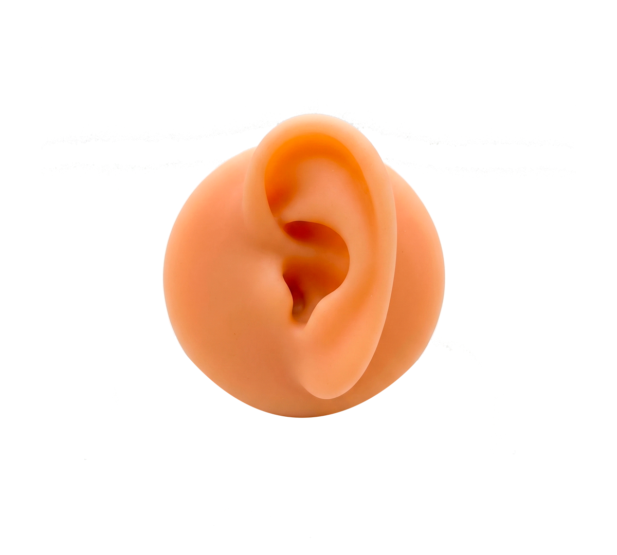 Oreja-Izquierda.png