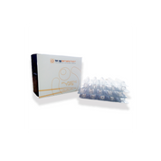 Puntera Premium Quality
