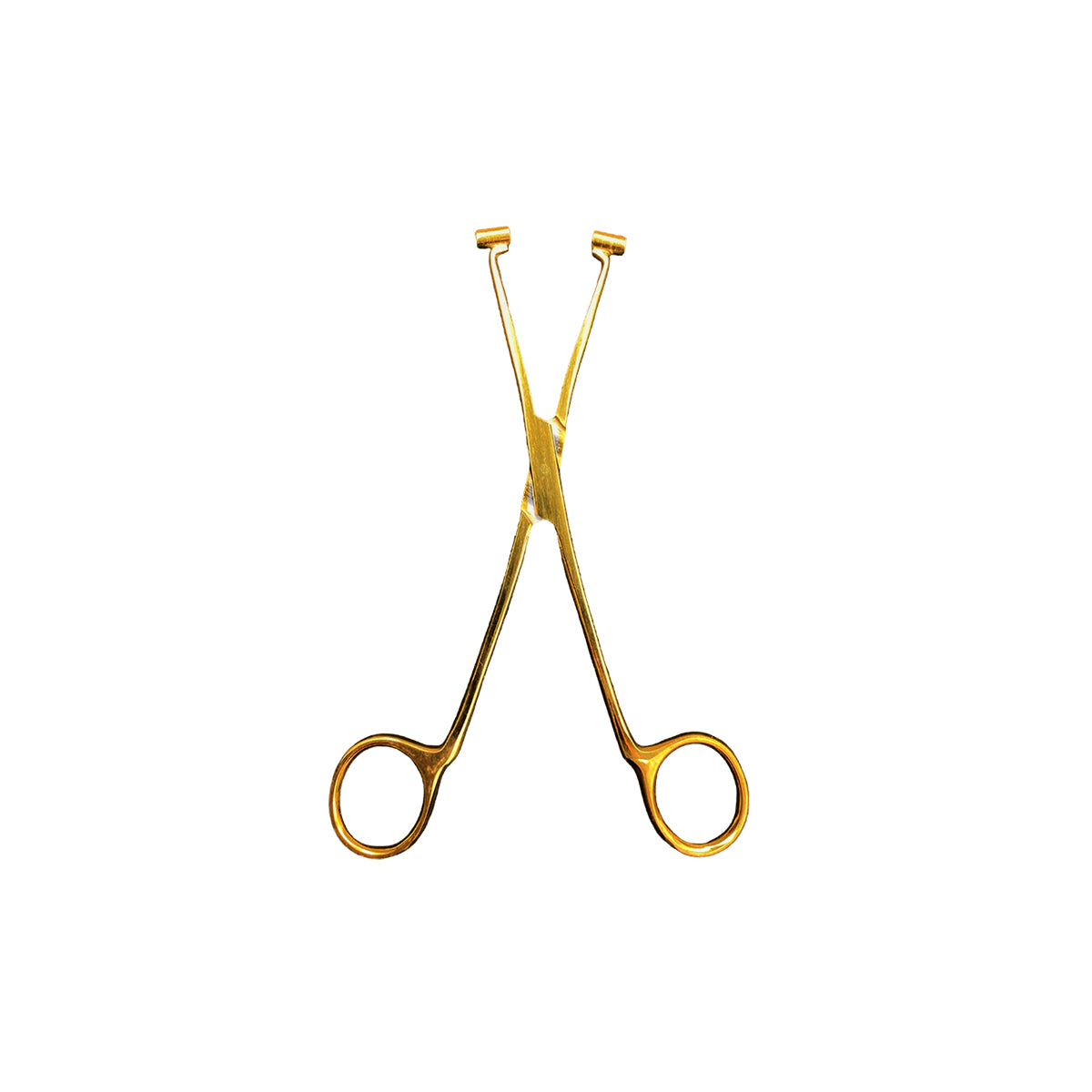 Pinza Para Piercing Septum Forceps Gold
