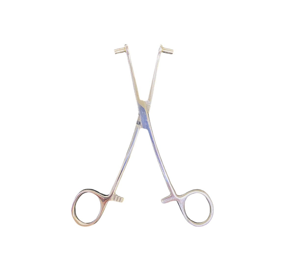 piercing_0006_TunnelSeptumForceps6.53.jpg
