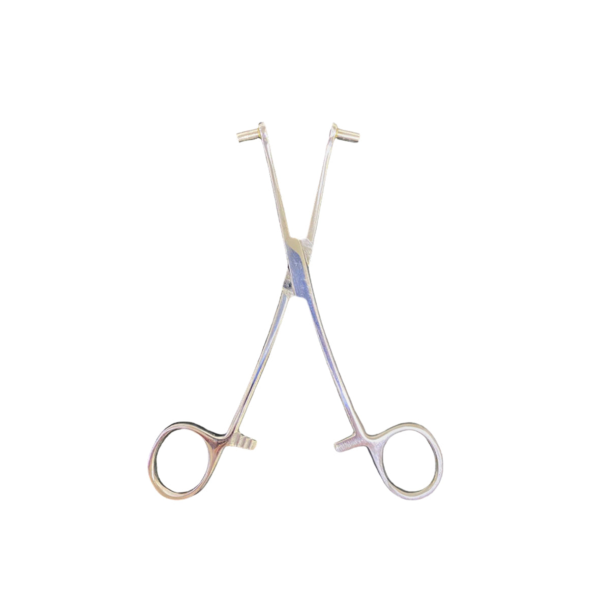 Pinza Para Piercing Tunnel Septum Forceps 6.5″