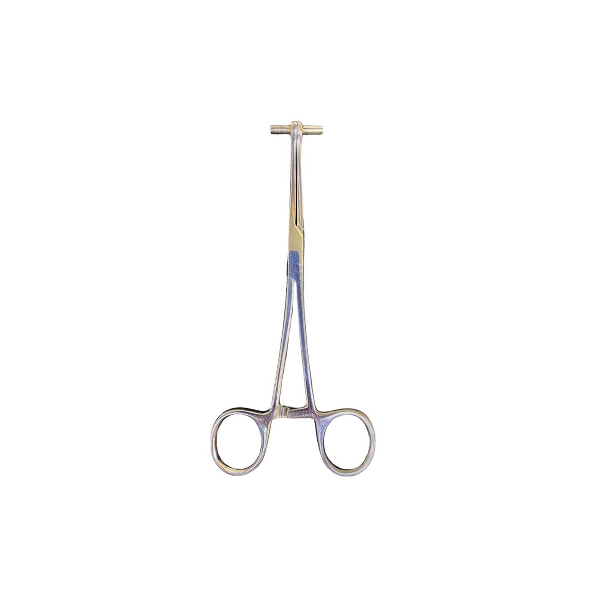 Pinza Para Piercing Tunnel Septum Forceps 6.5″