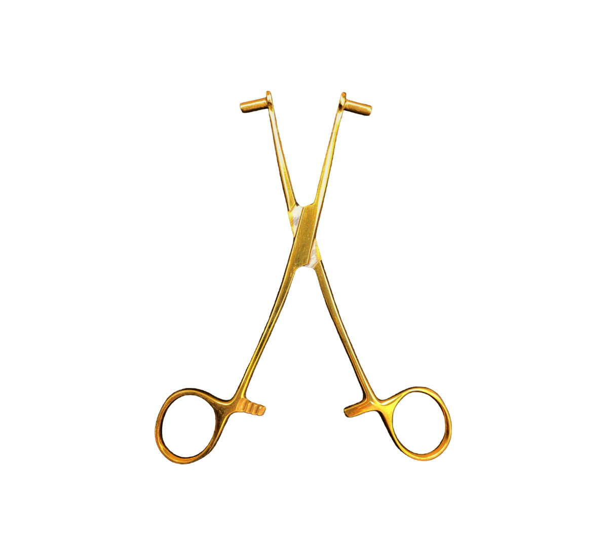 piercing_0026_SeptumForcepsGold3.jpg