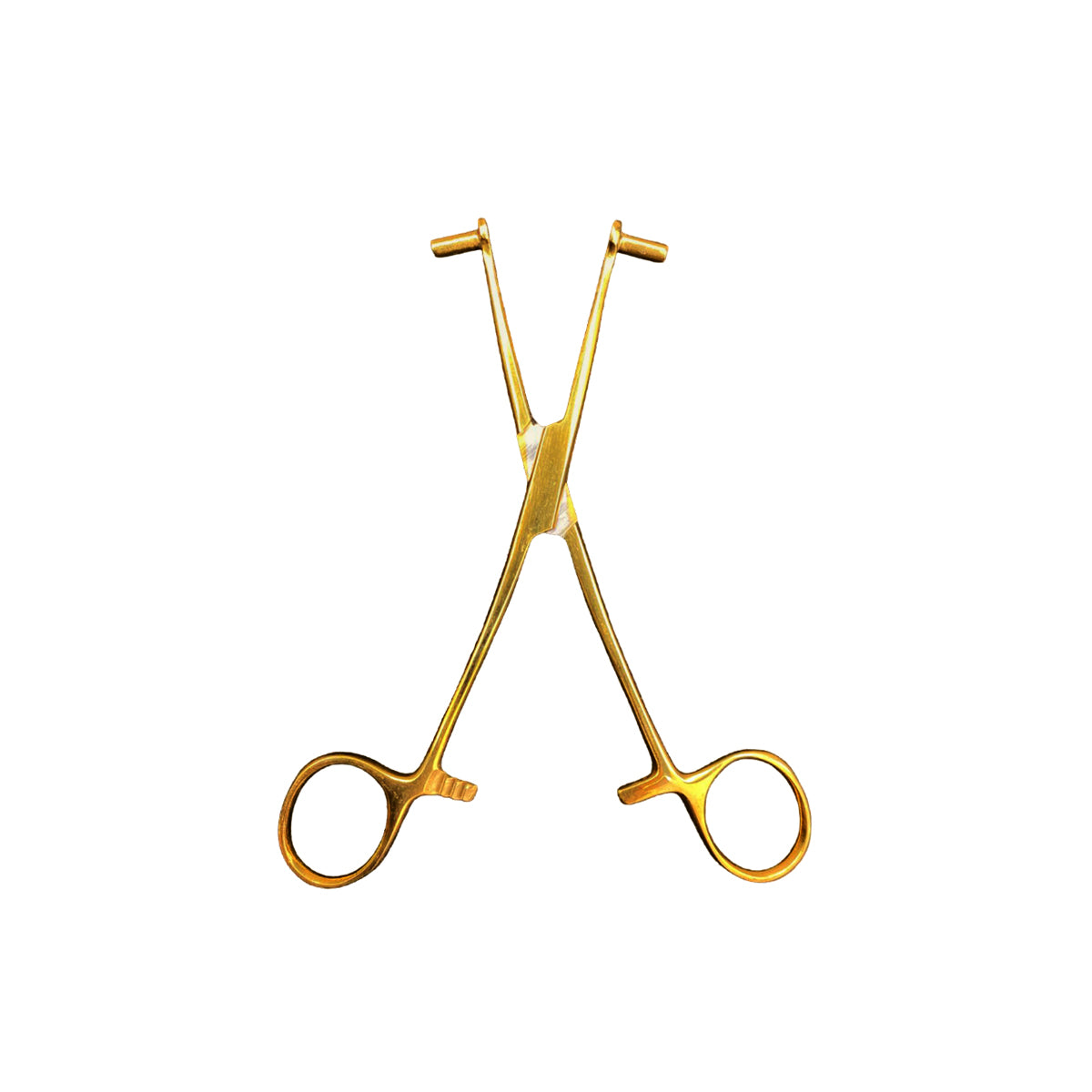 Pinza Para Piercing Septum Forceps Gold