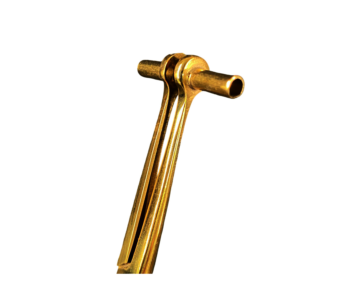piercing_0028_SeptumForcepsGold1.jpg