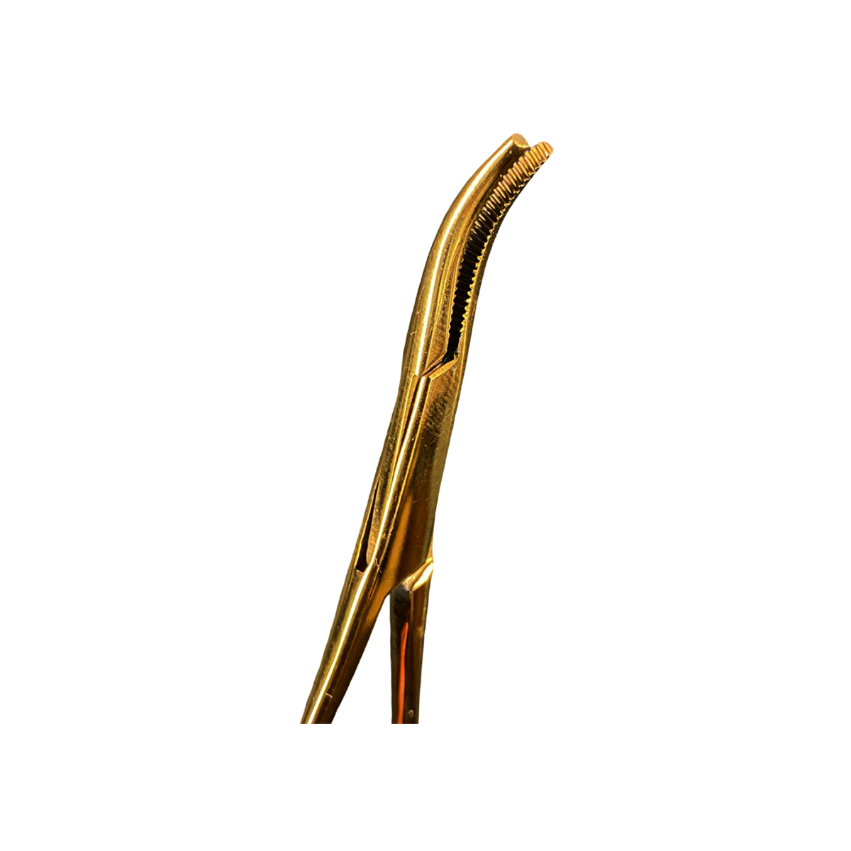 Pinza Para Piercing Mosquito Forceps Curved Gold