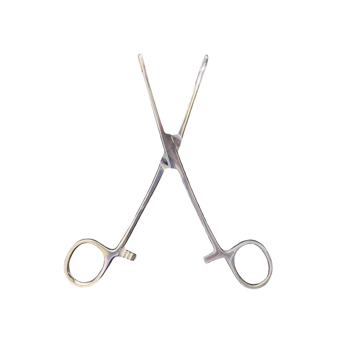 Pinza Para Piercing Mini Forester Sponge Forceps Slotted