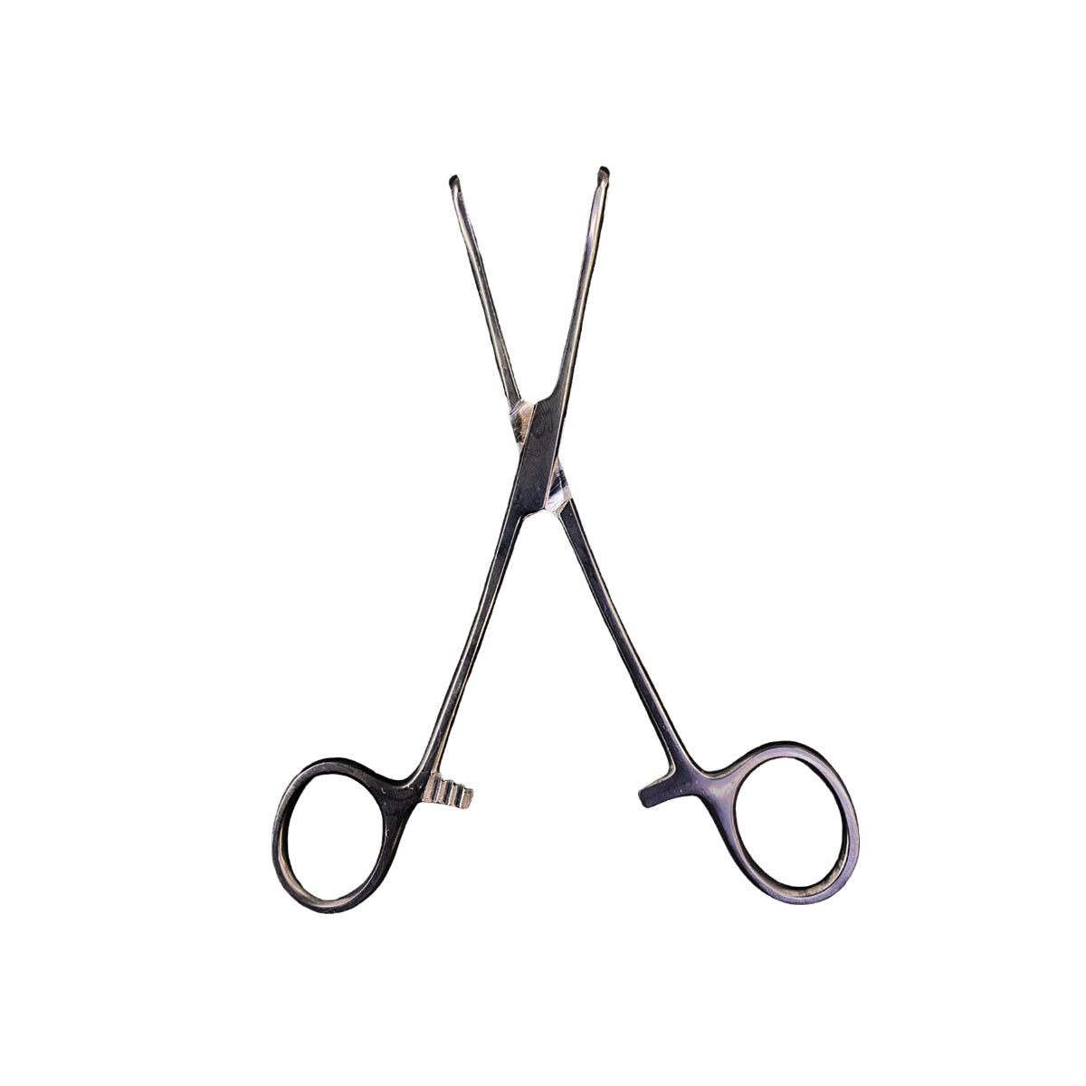 Pinza Para Piercing Forester Sponge Forceps Standar Black