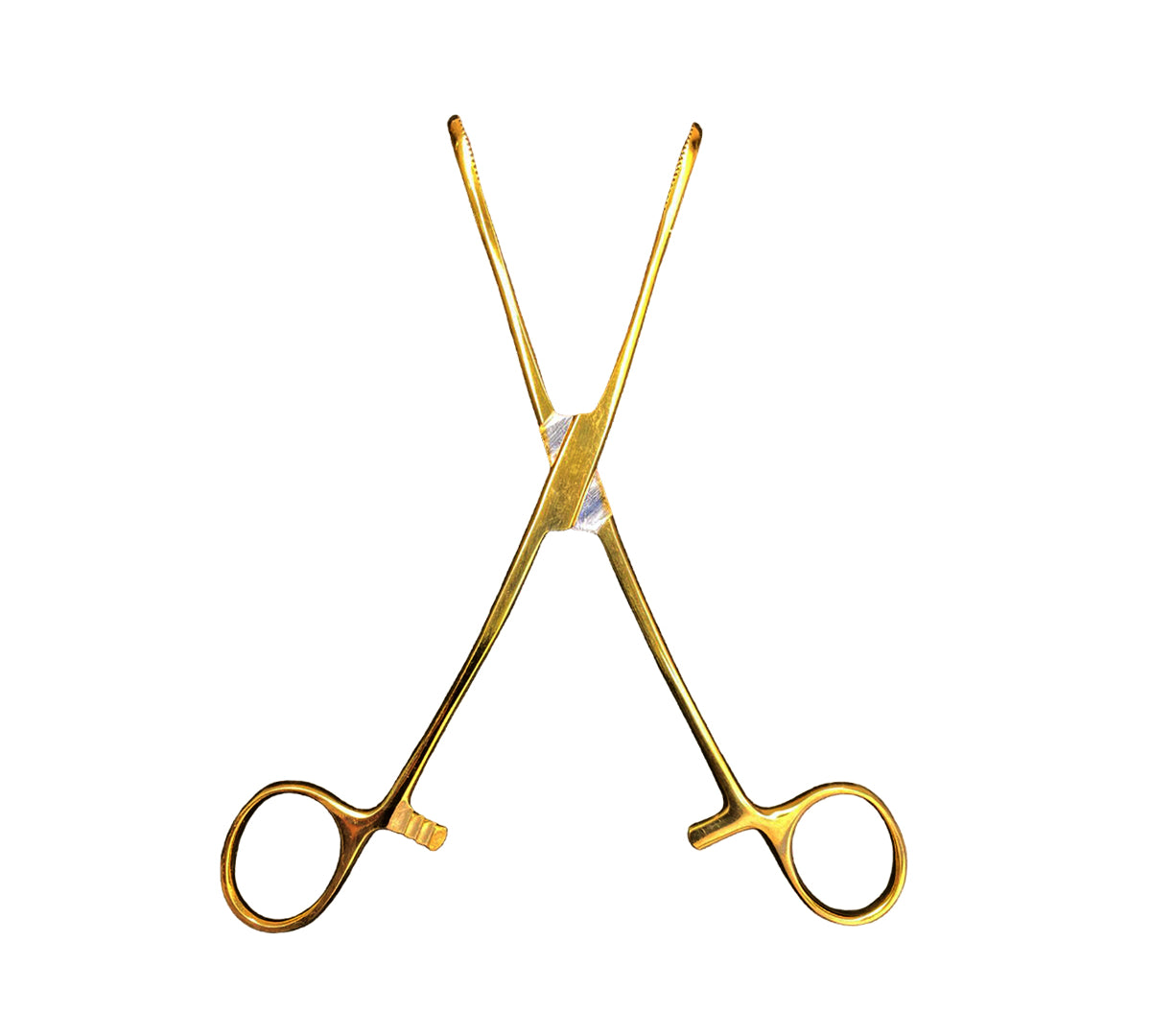 piercing_0069_foresterspongeforcepsslottedGold3.jpg