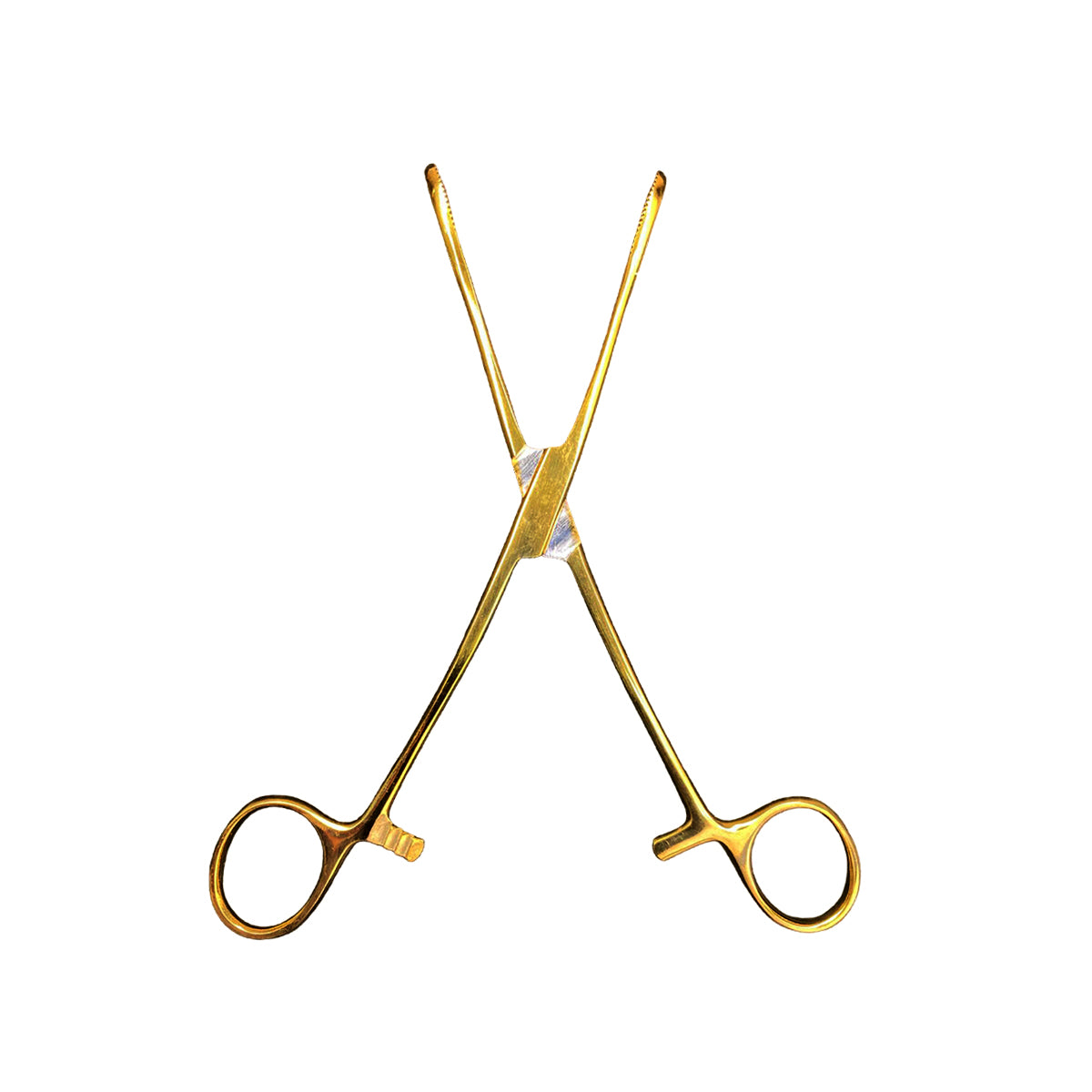 Pinza Para Piercing Forester Sponge Forceps Slotted Gold