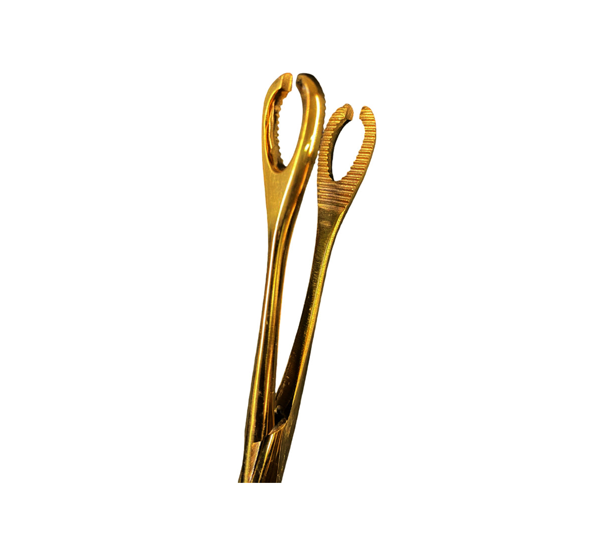 piercing_0071_foresterspongeforcepsslottedGold1.jpg