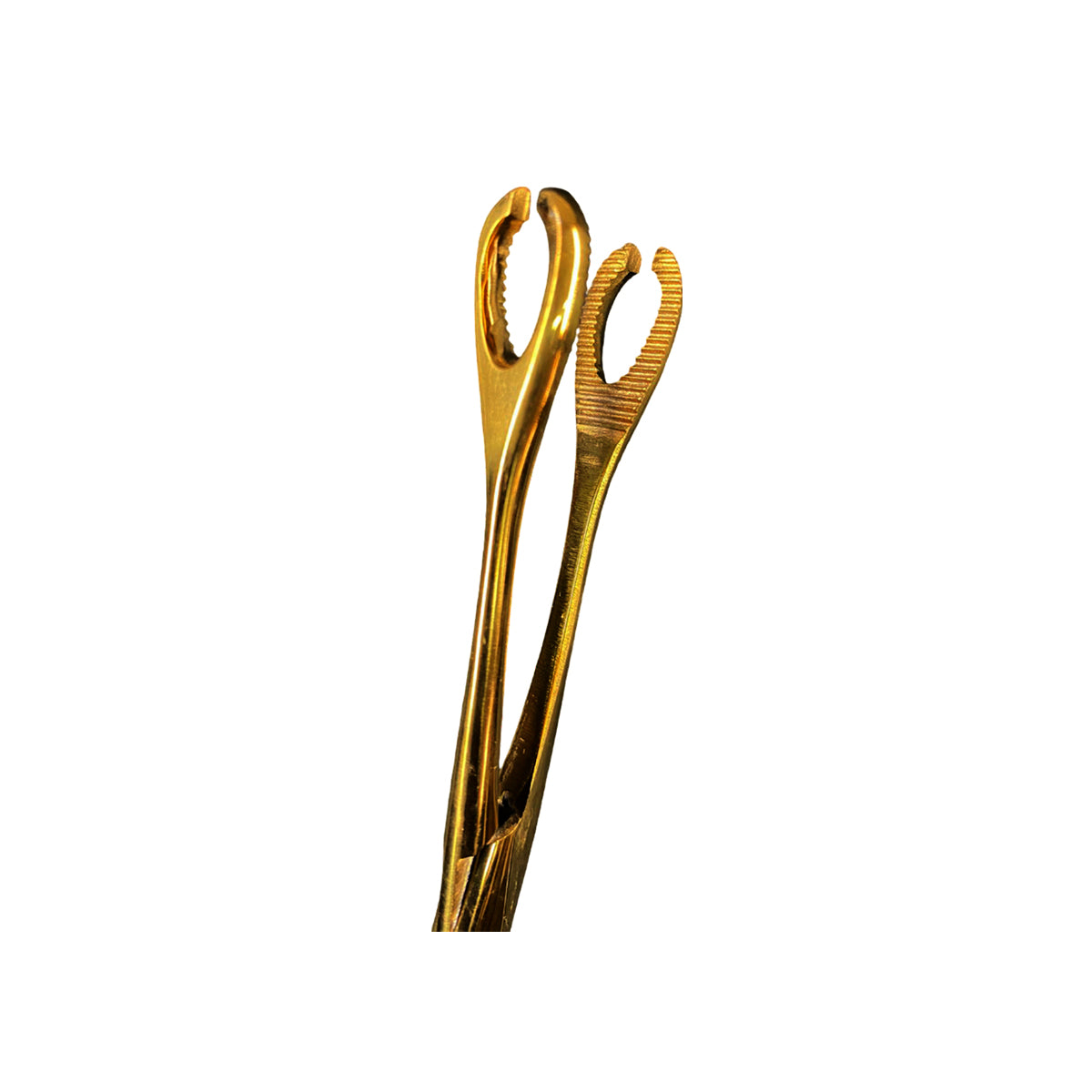Pinza Para Piercing Forester Sponge Forceps Slotted Gold