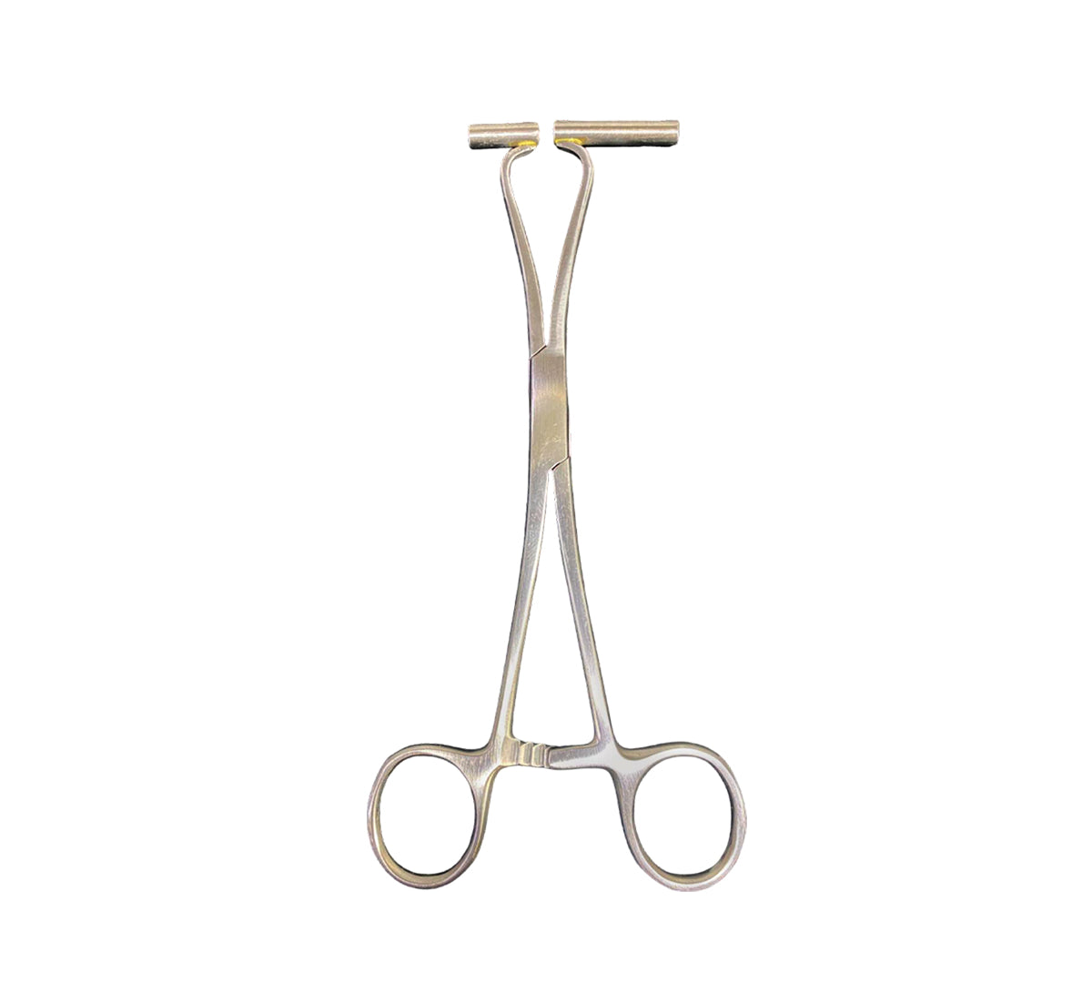 piercing_0072_ExtraLongSeptumForceps3.jpg