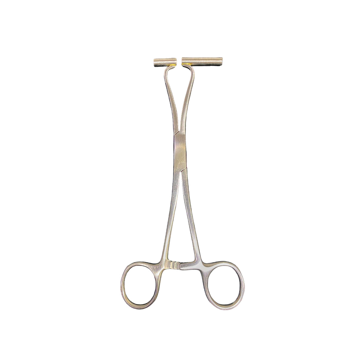 Pinza Para Piercing Extra Long Septum Forceps