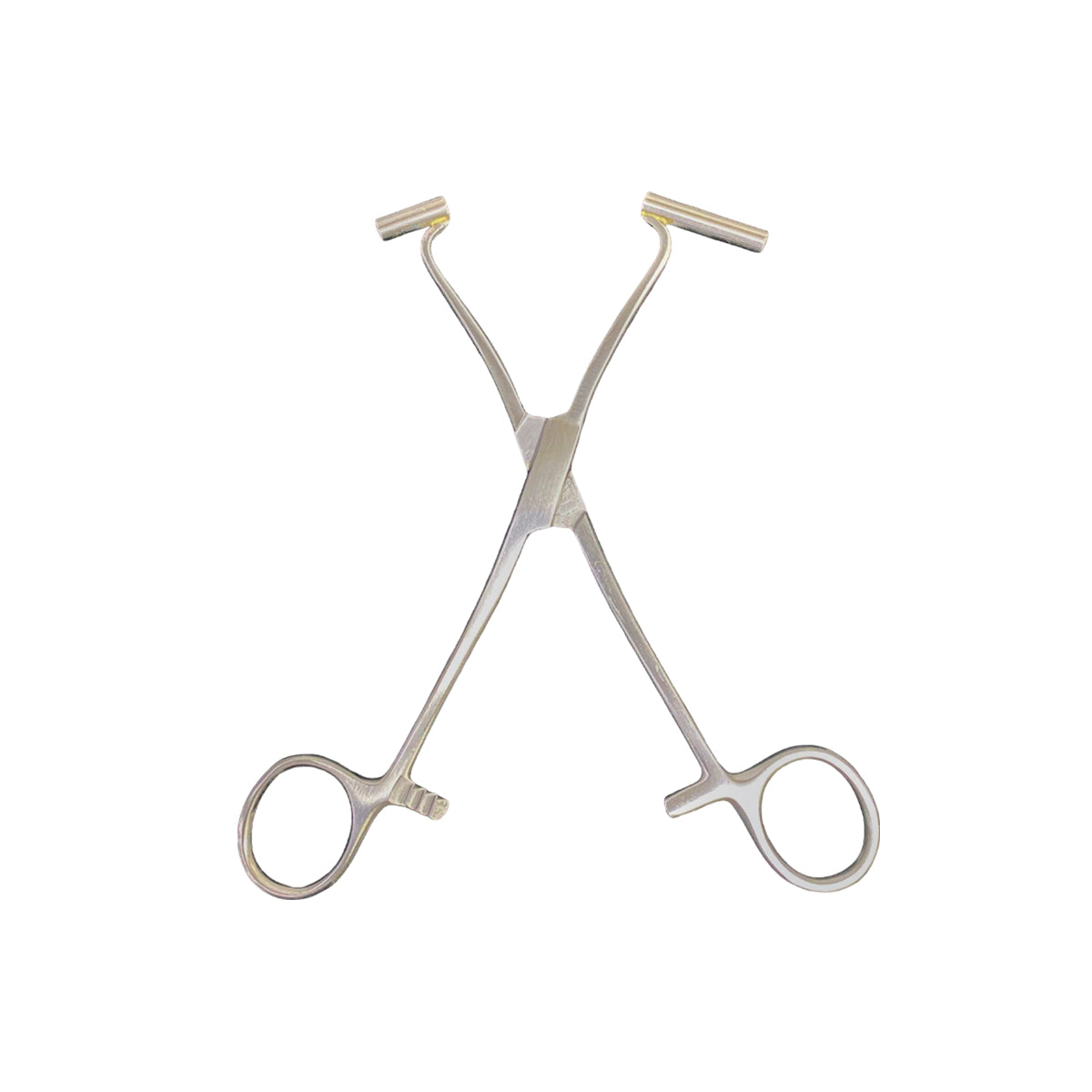 Pinza Para Piercing Extra Long Septum Forceps